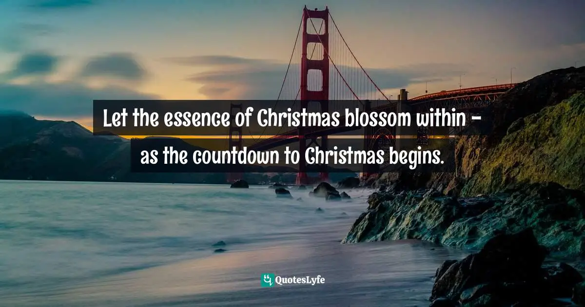 Let the essence of Christmas blossom within - as the countdown to Christmas begins.