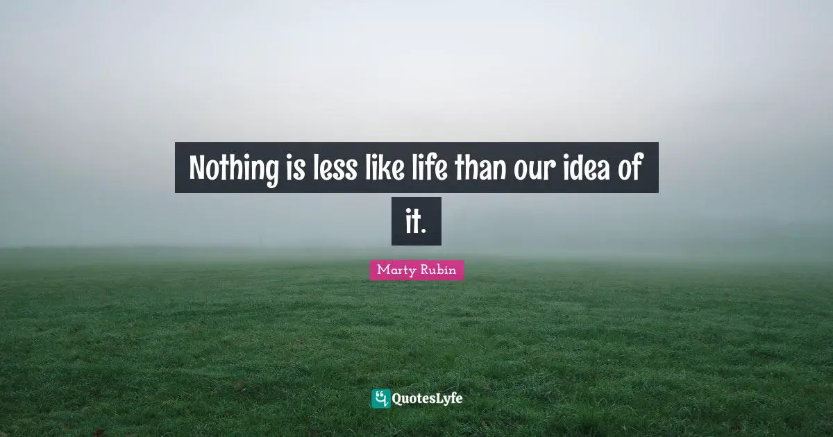 Nothing is less like life than our idea of it.