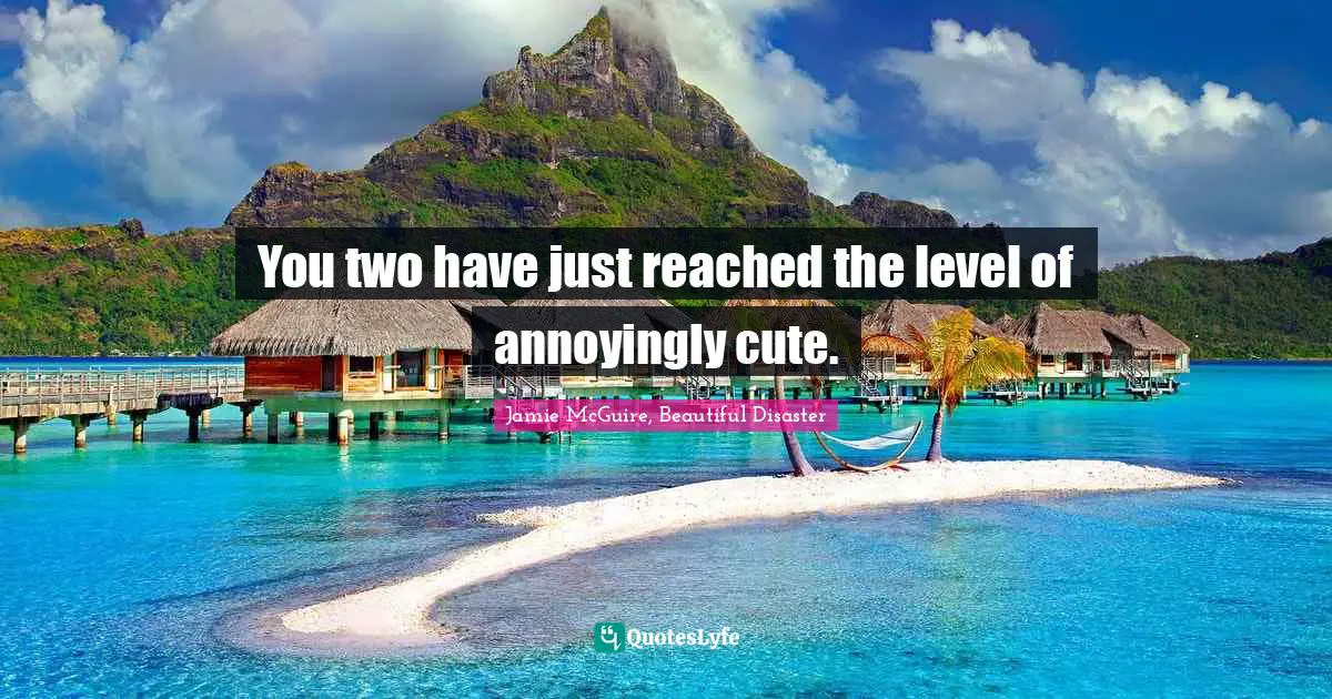Jamie McGuire, Beautiful Disaster Quotes: "You two have just reached the level of annoyingly cute."
