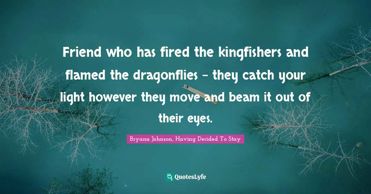 Friend who has fired the kingfishers and flamed the dragonflies – they catch your light however they move and beam it out of their eyes.