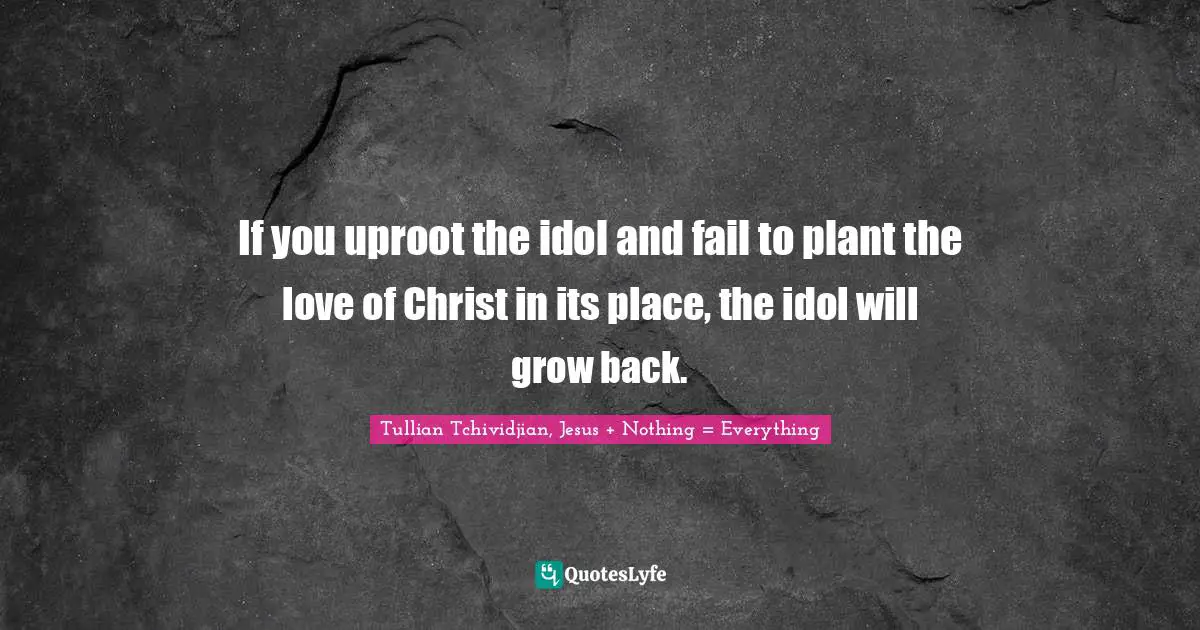 If you uproot the idol and fail to plant the love of Christ in its place, the idol will grow back.