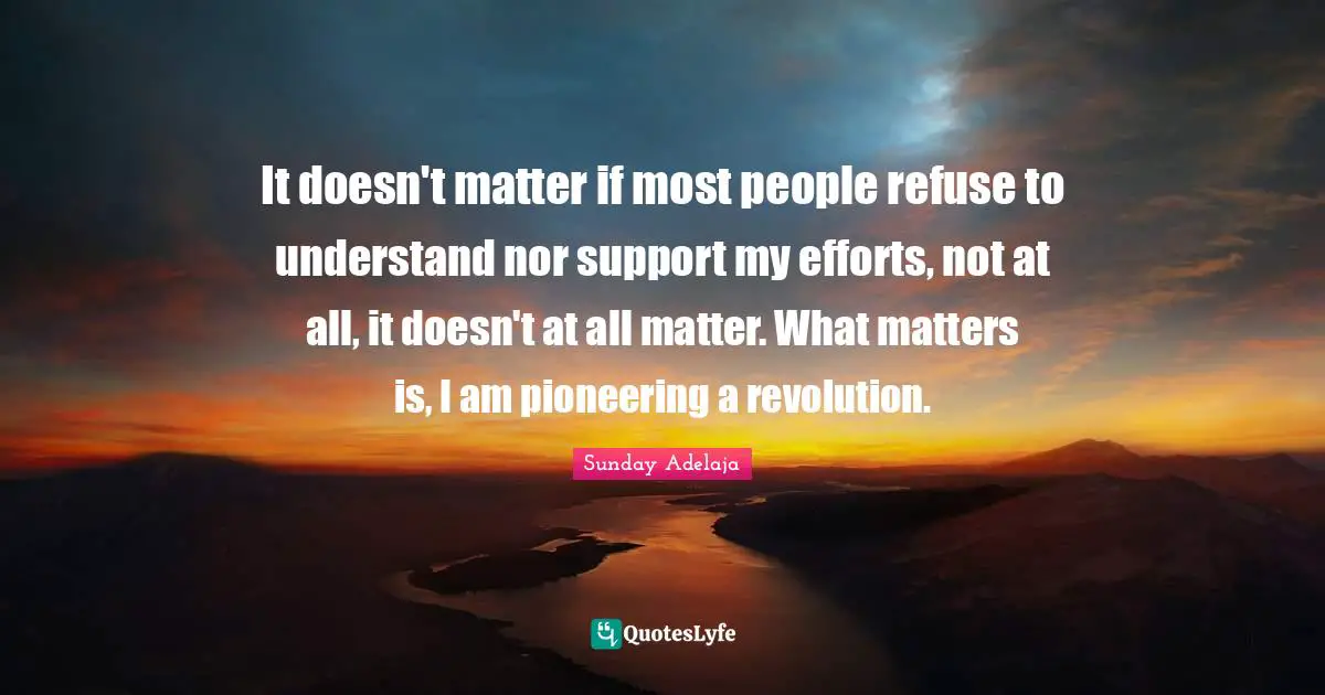 Sunday Adelaja Quotes: It doesn't matter if most people refuse to understand nor support my efforts, not at all, it doesn't at all matter. What matters is, I am pioneering a revolution.