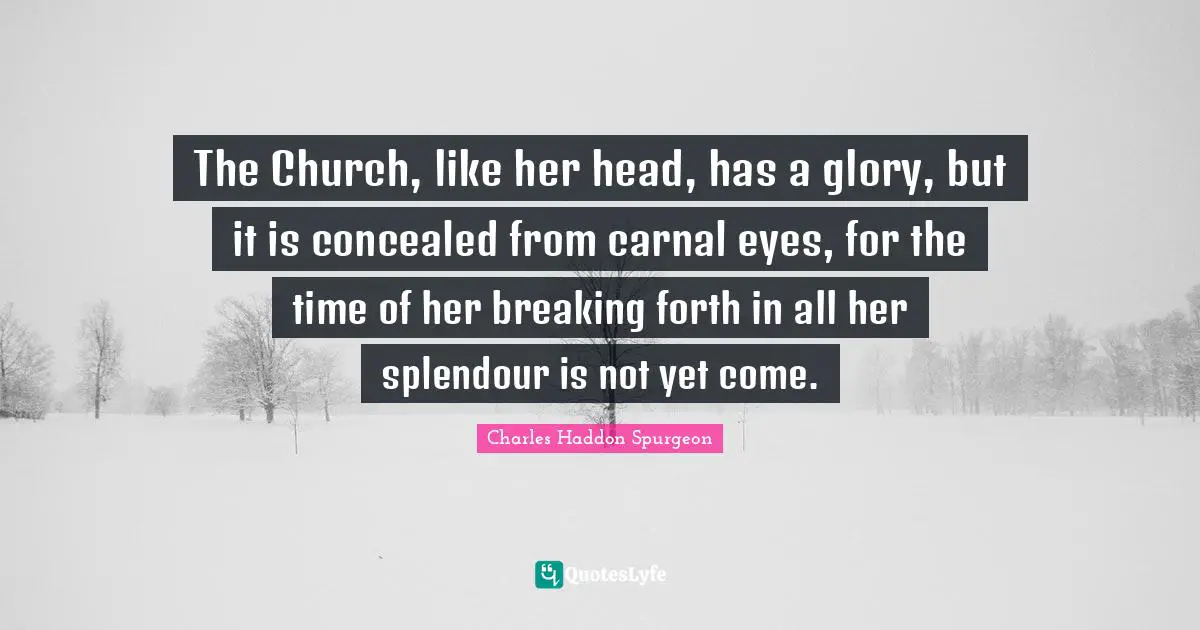 The Church, like her head, has a glory, but it is concealed from carnal eyes, for the time of her breaking forth in all her splendour is not yet come.