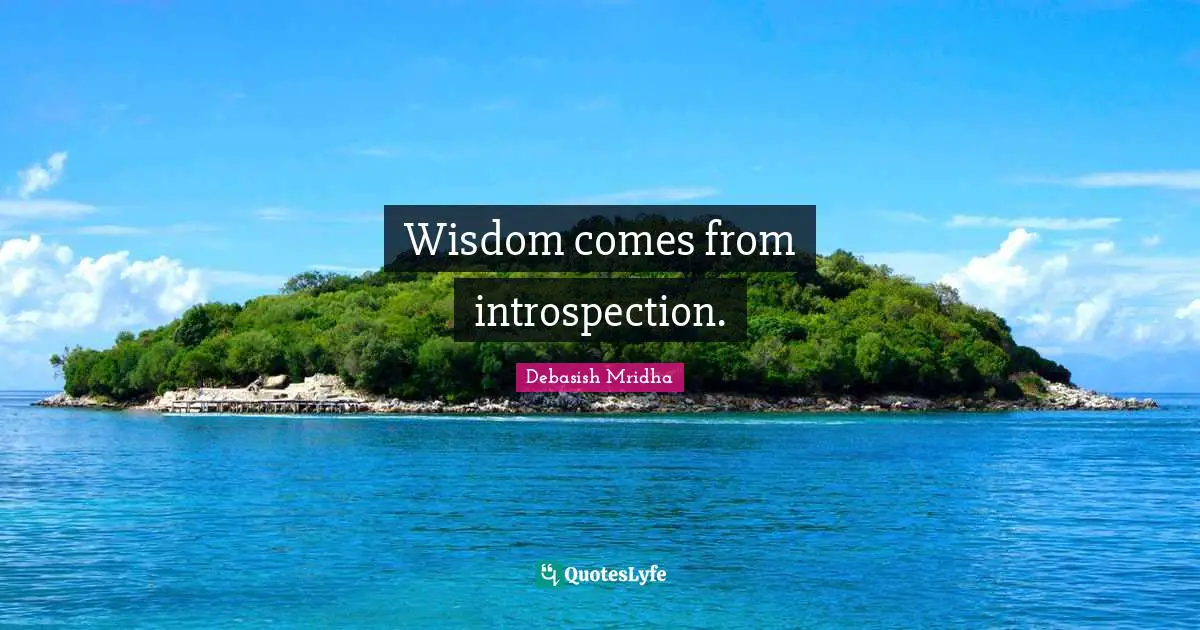 Wisdom comes from introspection.