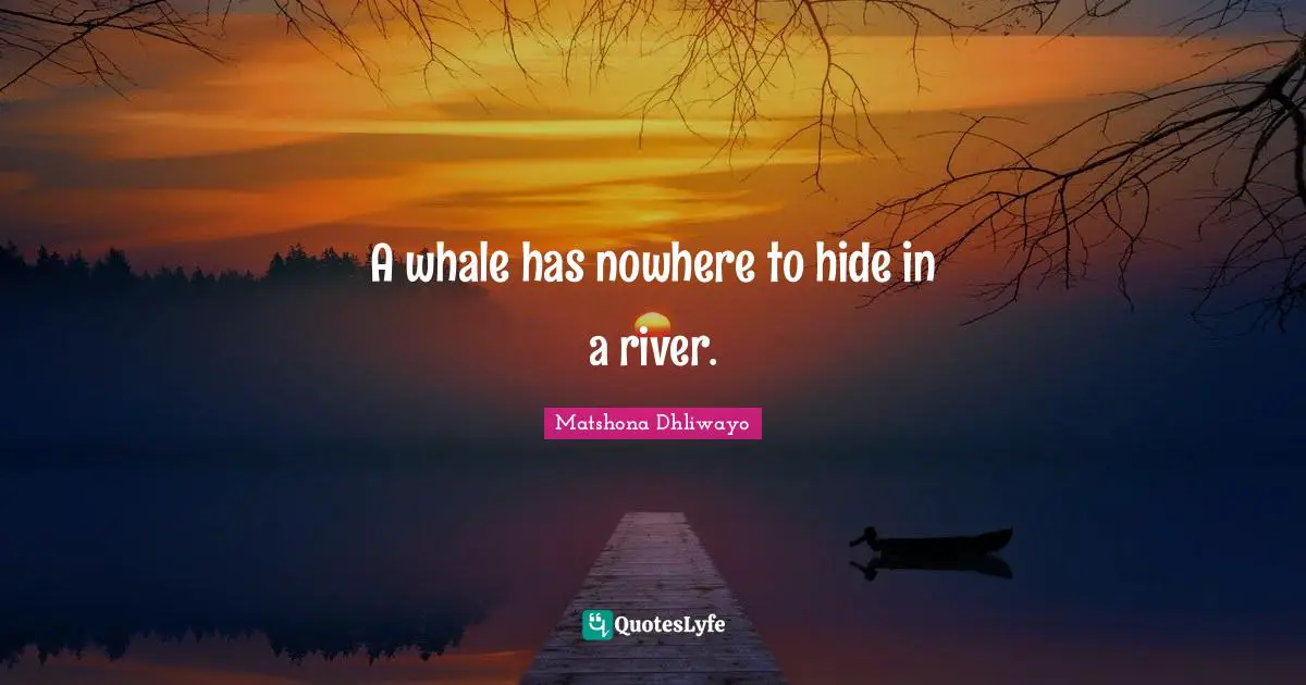 A whale has nowhere to hide in a river.