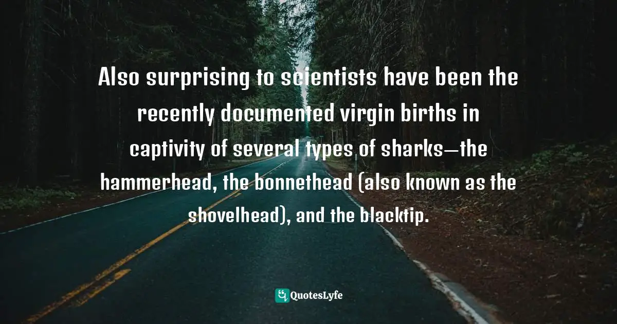 Also surprising to scientists have been the recently documented virgin births in captivity of several types of sharks—the hammerhead, the bonnethead (also known as the shovelhead), and the blacktip.