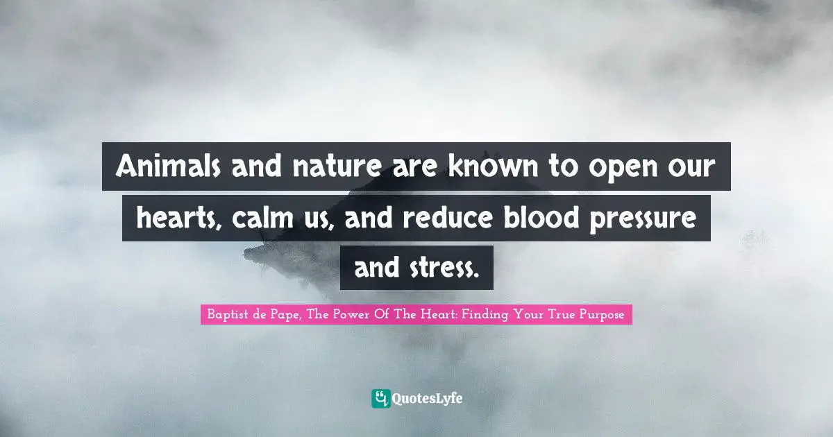 Animals and nature are known to open our hearts, calm us, and reduce blood pressure and stress.