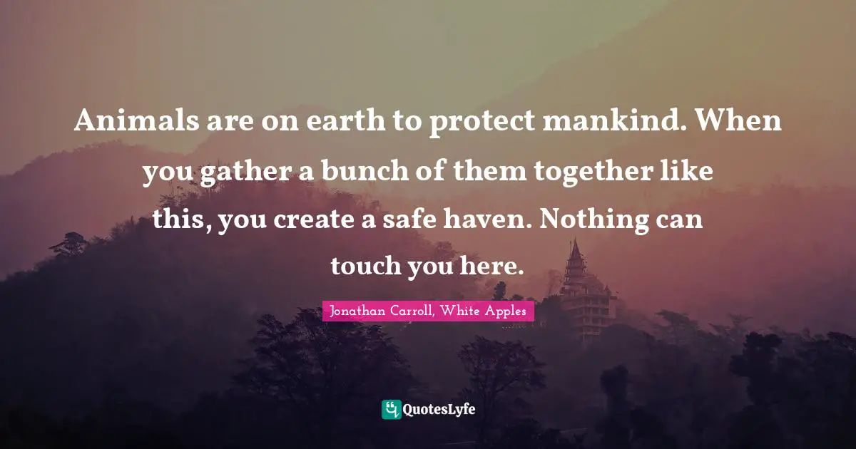 Animals are on earth to protect mankind. When you gather a bunch of them together like this, you create a safe haven. Nothing can touch you here.