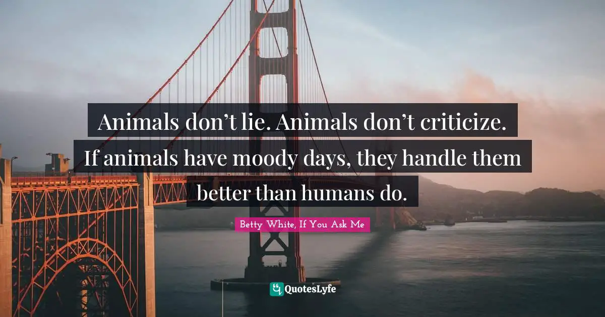 Animals don’t lie. Animals don’t criticize. If animals have moody days, they handle them better than humans do.