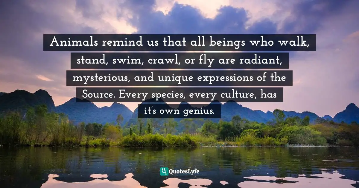 Animals remind us that all beings who walk, stand, swim, crawl, or fly are radiant, mysterious, and unique expressions of the Source. Every species, every culture, has it’s own genius.
