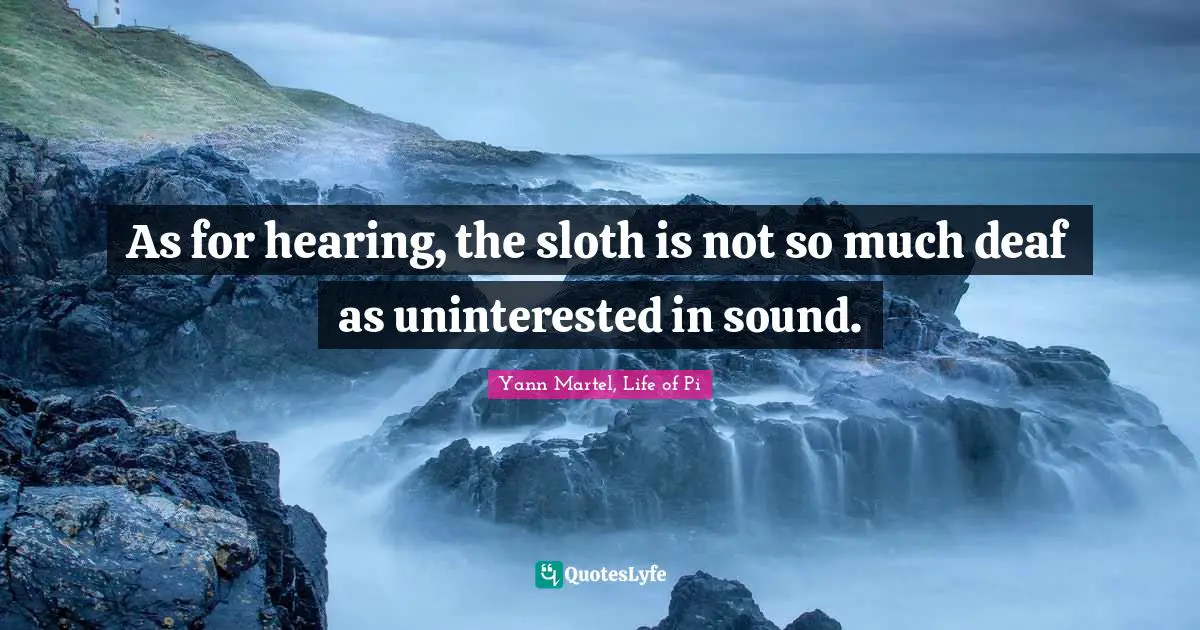 As for hearing, the sloth is not so much deaf as uninterested in sound.
