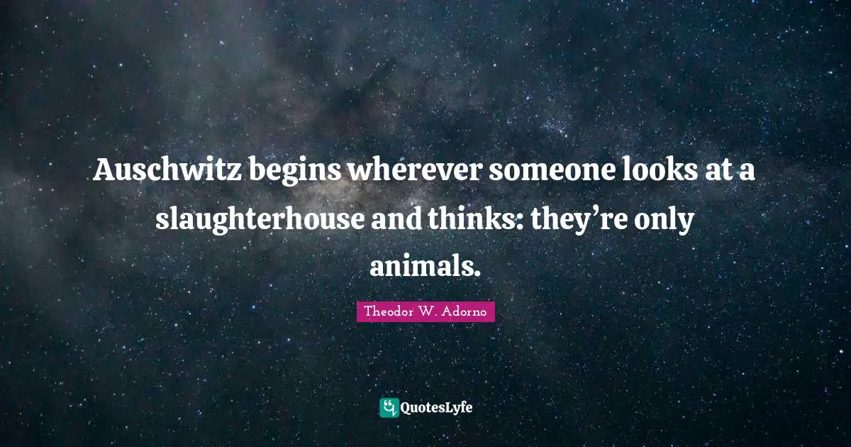 Animal Rights Quotes: "Auschwitz begins wherever someone looks at a slaughterhouse and thinks: they’re only animals."