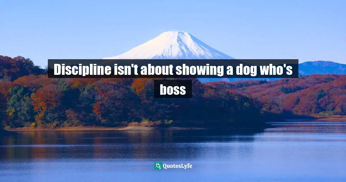 Discipline isn't about showing a dog who's boss