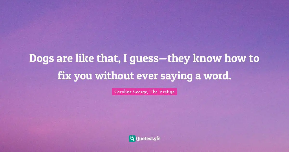 Dogs are like that, I guess—they know how to fix you without ever saying a word.