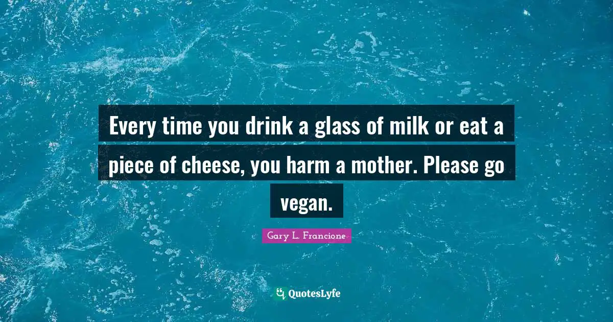 Every time you drink a glass of milk or eat a piece of cheese, you harm a mother. Please go vegan.