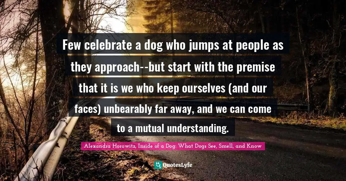 Few celebrate a dog who jumps at people as they approach--but start with the premise that it is we who keep ourselves (and our faces) unbearably far away, and we can come to a mutual understanding.