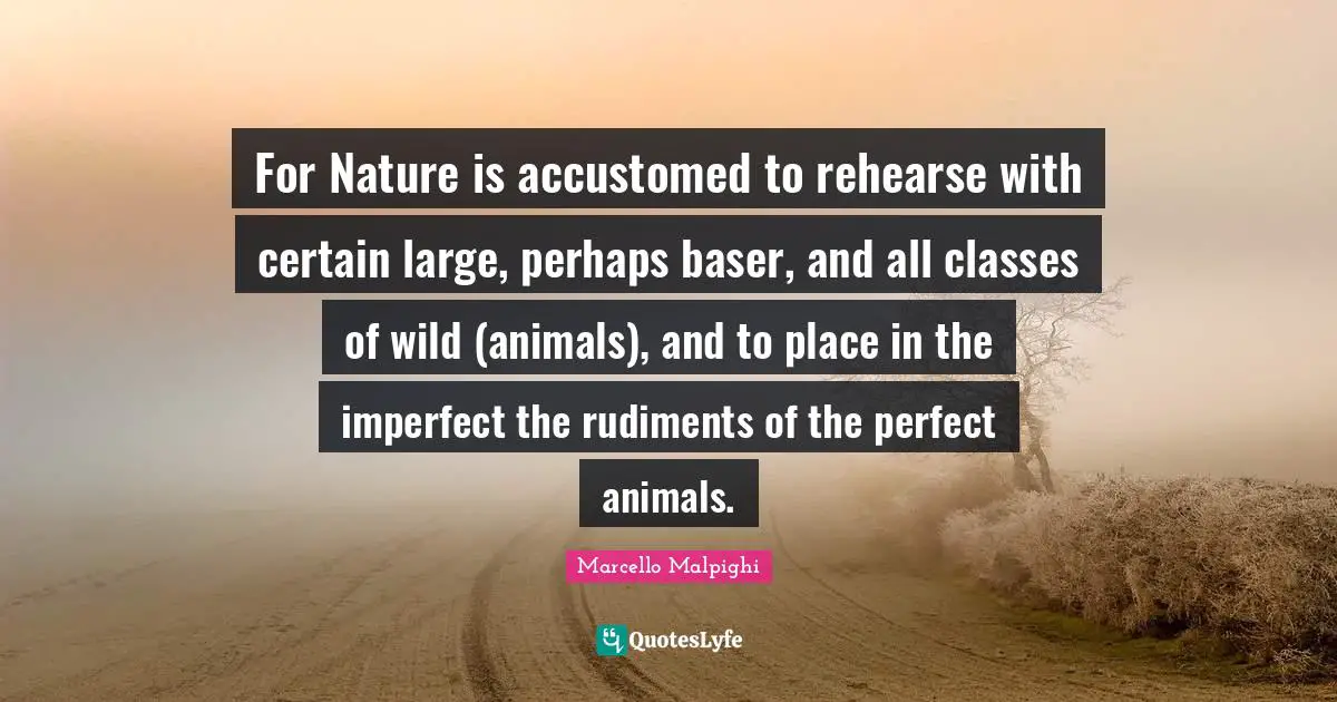 For Nature is accustomed to rehearse with certain large, perhaps baser, and all classes of wild (animals), and to place in the imperfect the rudiments of the perfect animals.