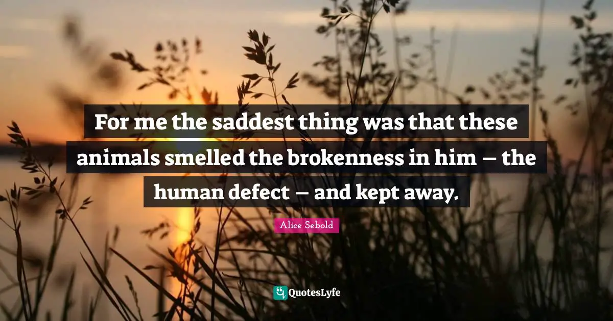 For me the saddest thing was that these animals smelled the brokenness in him – the human defect – and kept away.
