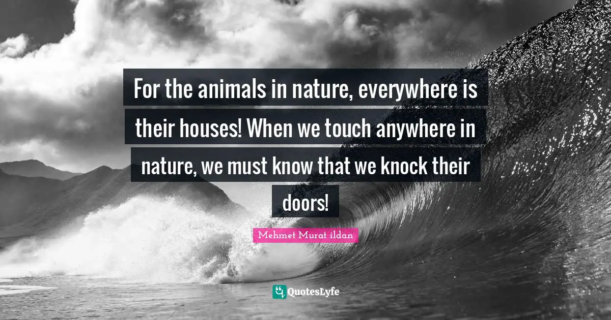 For the animals in nature, everywhere is their houses! When we touch anywhere in nature, we must know that we knock their doors!