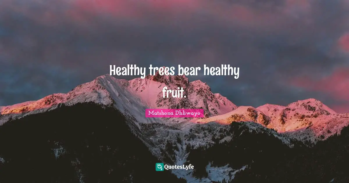 Healthy trees bear healthy fruit.