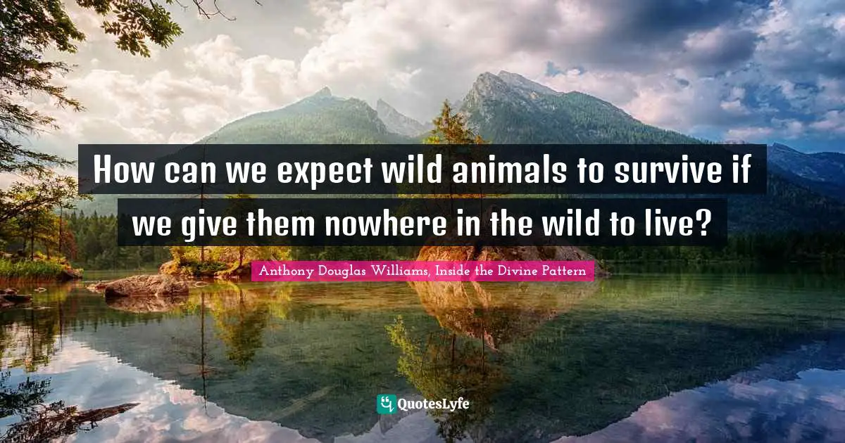 How can we expect wild animals to survive if we give them nowhere in the wild to live?