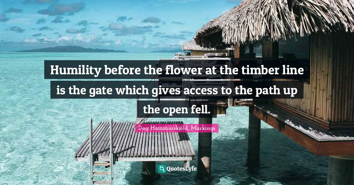 Humility before the flower at the timber line is the gate which gives access to the path up the open fell.