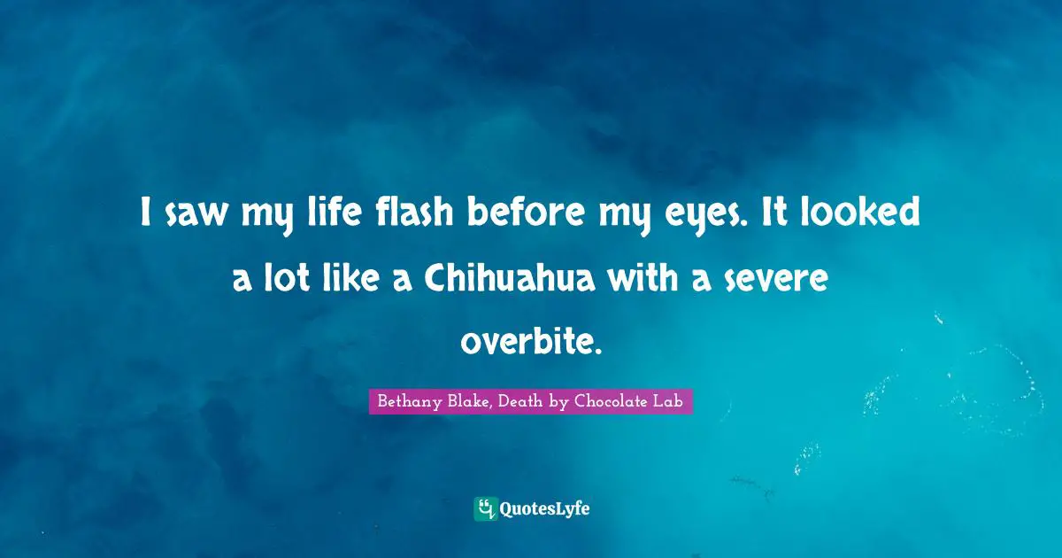 I saw my life flash before my eyes. It looked a lot like a Chihuahua with a severe overbite.
