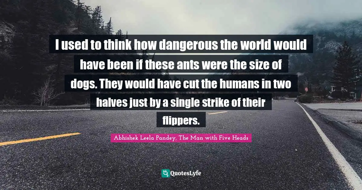 I used to think how dangerous the world would have been if these ants were the size of dogs. They would have cut the humans in two halves just by a single strike of their flippers.