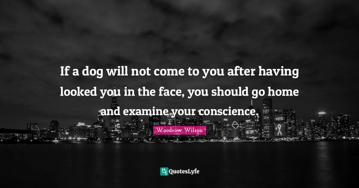 If a dog will not come to you after having looked you in the face, you should go home and examine your conscience.