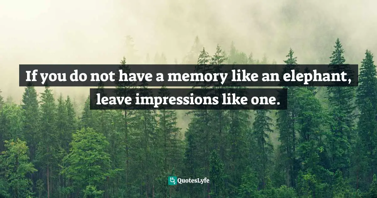 If you do not have a memory like an elephant, leave impressions like one.