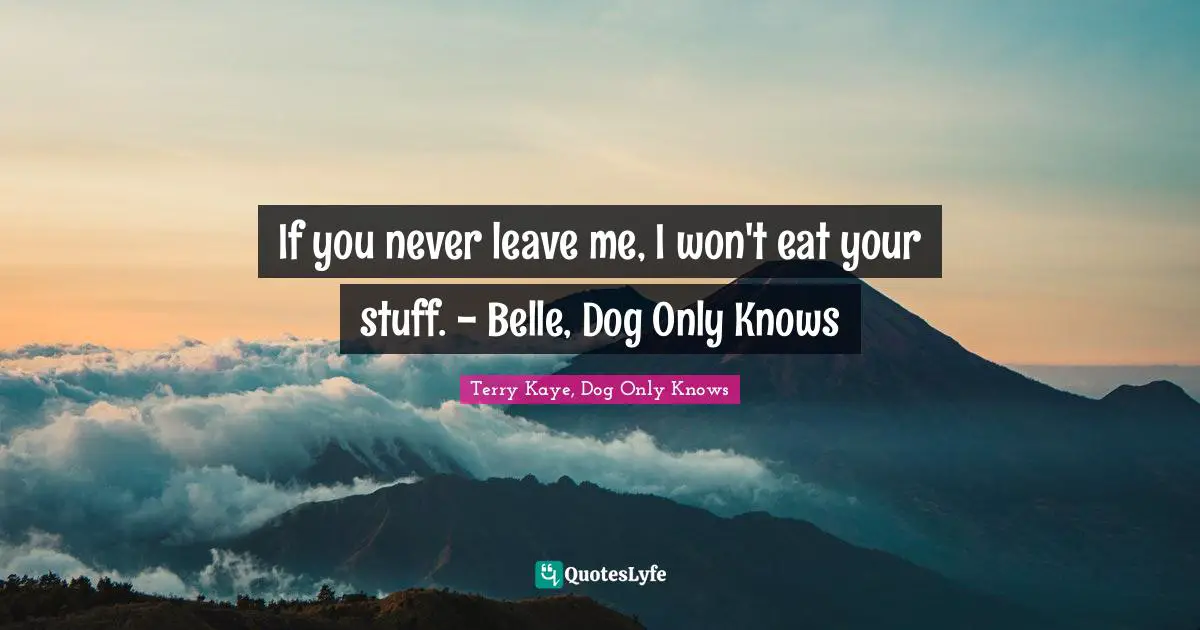If you never leave me, I won't eat your stuff. - Belle, Dog Only Knows
