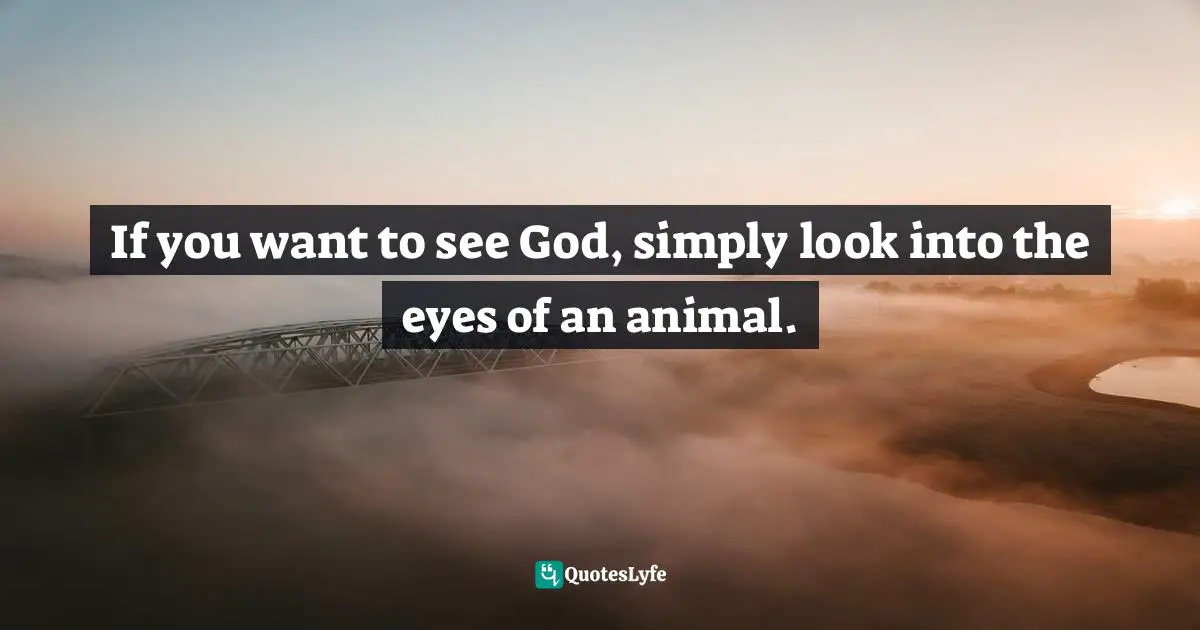 If you want to see God, simply look into the eyes of an animal.