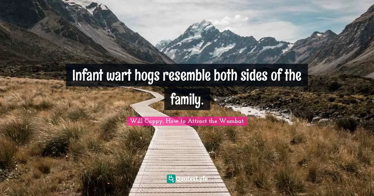 Infant wart hogs resemble both sides of the family.