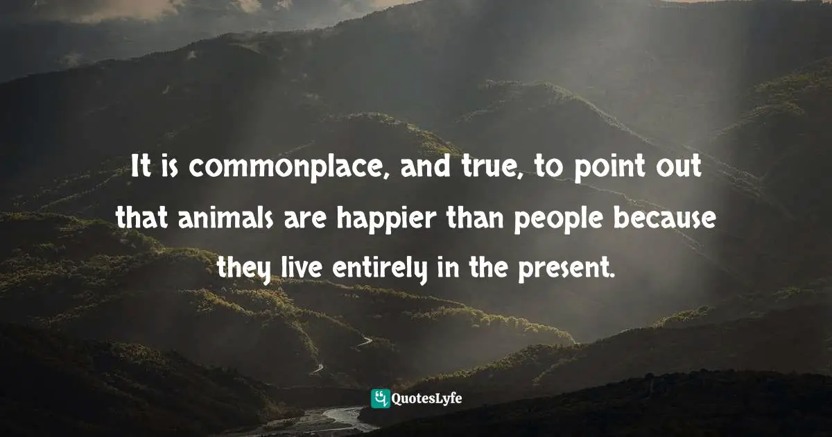 It is commonplace, and true, to point out that animals are happier than people because they live entirely in the present.