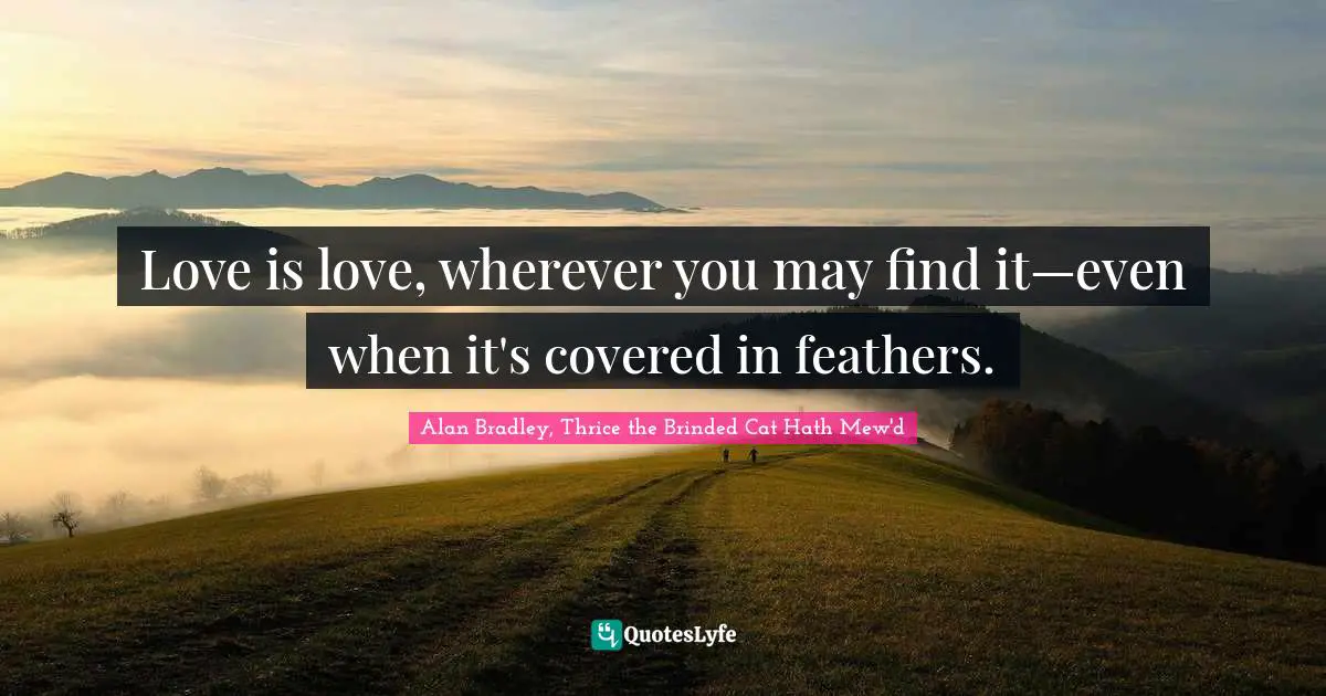 Love is love, wherever you may find it—even when it's covered in feathers.