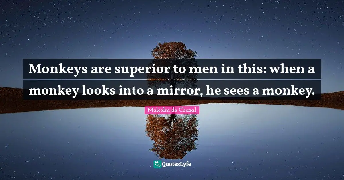Monkeys are superior to men in this: when a monkey looks into a mirror, he sees a monkey.