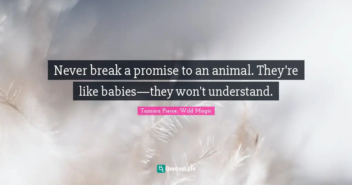 Never break a promise to an animal. They're like babies—they won't understand.
