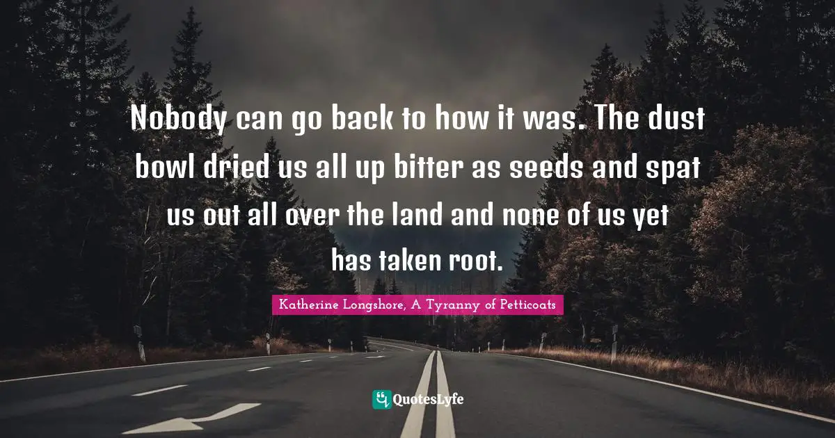 Nobody can go back to how it was. The dust bowl dried us all up bitter as seeds and spat us out all over the land and none of us yet has taken root.