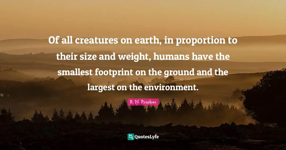 Of all creatures on earth, in proportion to their size and weight, humans have the smallest footprint on the ground and the largest on the environment.
