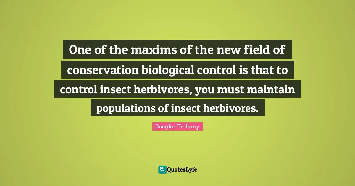 One of the maxims of the new field of conservation biological control is that to control insect herbivores, you must maintain populations of insect herbivores.