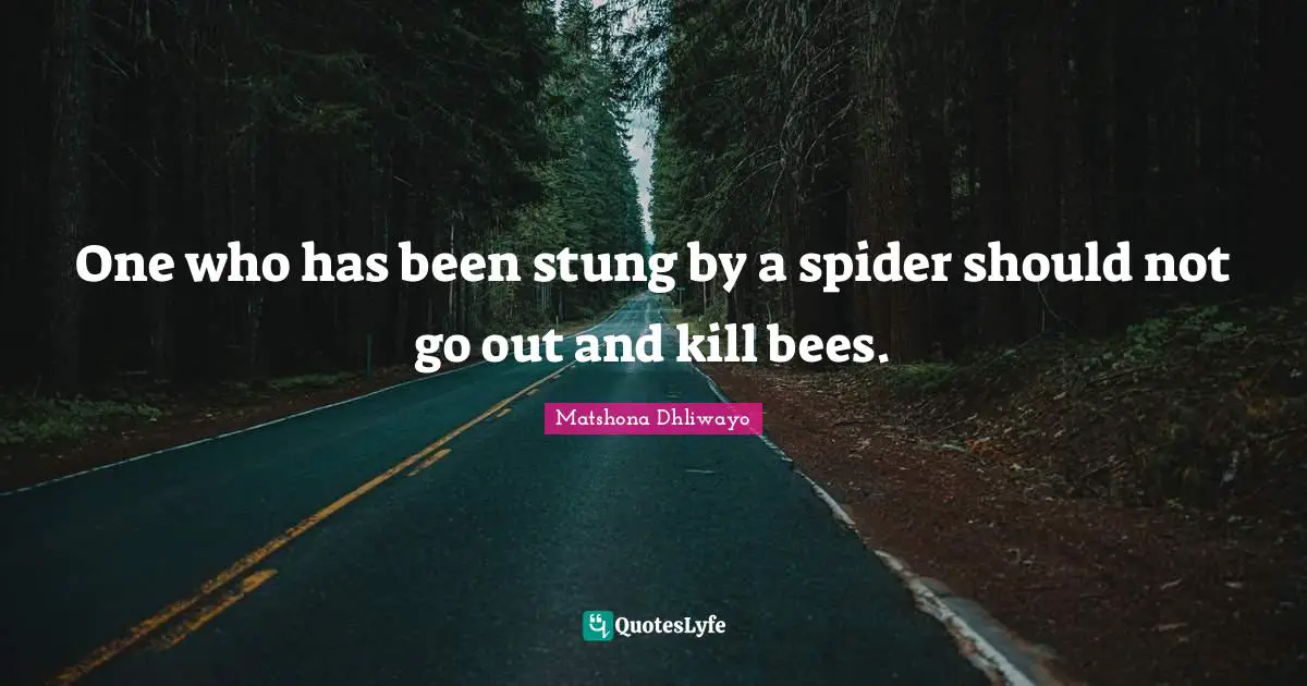 One who has been stung by a spider should not go out and kill bees.