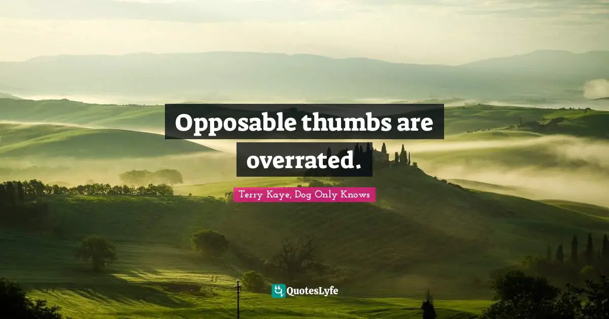 Opposable thumbs are overrated.