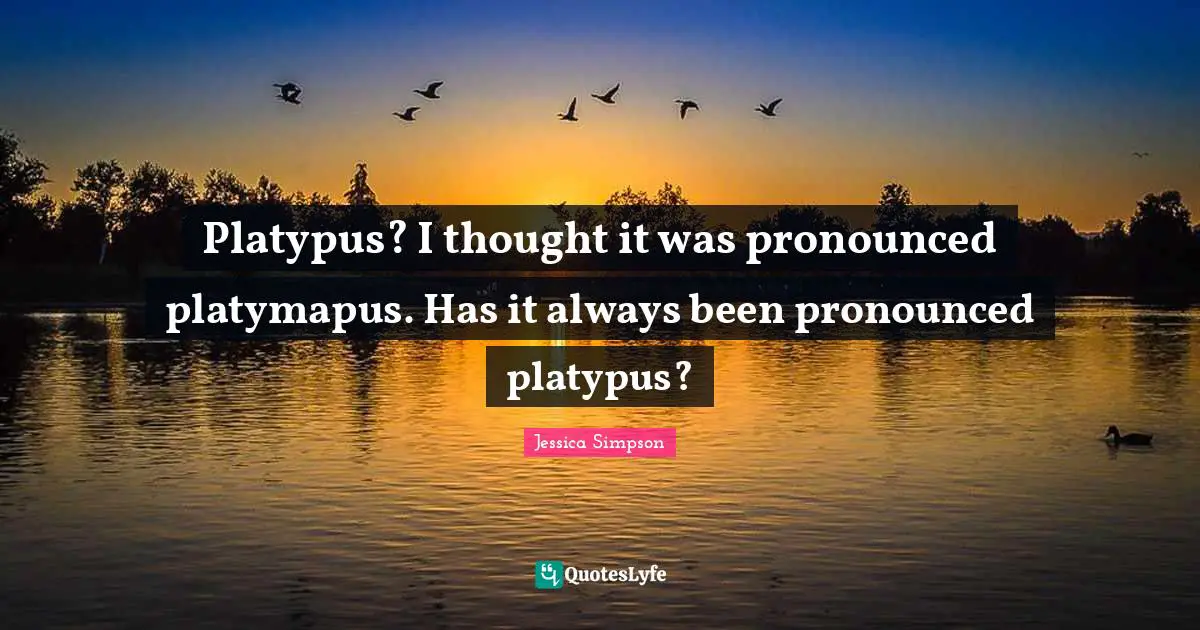 Platypus? I thought it was pronounced platymapus. Has it always been pronounced platypus?