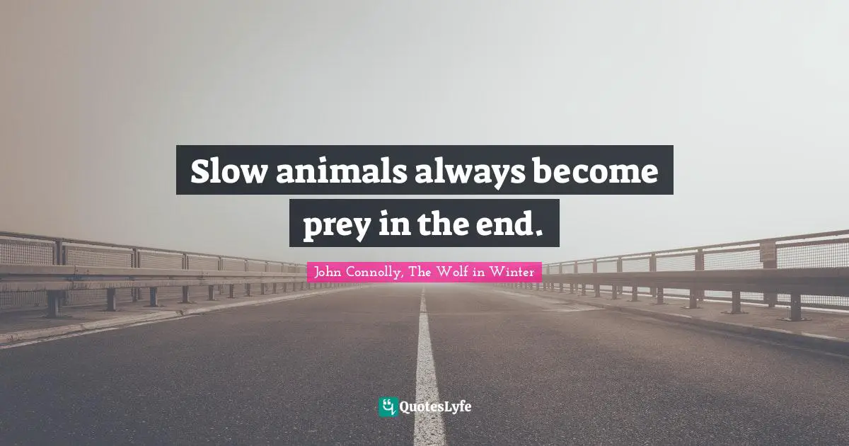 Slow animals always become prey in the end.