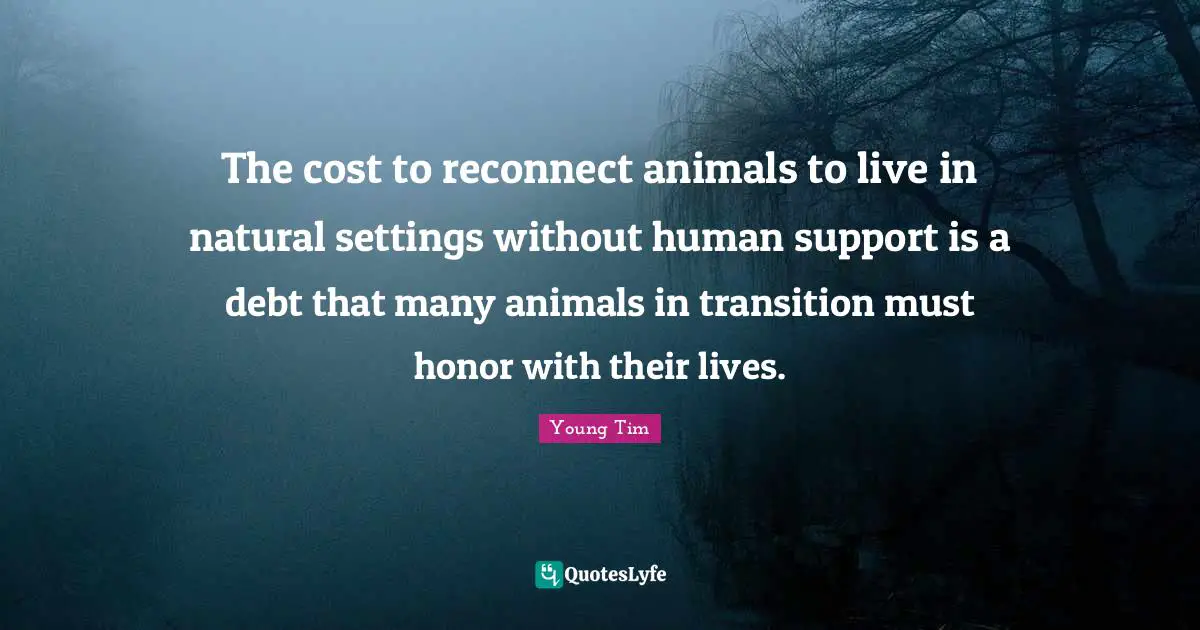 The cost to reconnect animals to live in natural settings without human support is a debt that many animals in transition must honor with their lives.