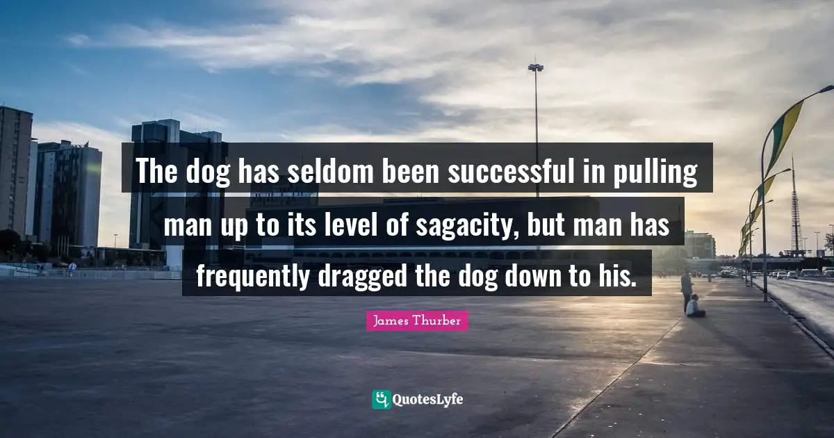 The dog has seldom been successful in pulling man up to its level of sagacity, but man has frequently dragged the dog down to his.