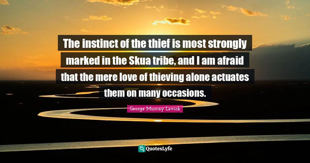 George Murray Levick Quotes: The instinct of the thief is most strongly marked in the Skua tribe, and I am afraid that the mere love of thieving alone actuates them on many occasions.