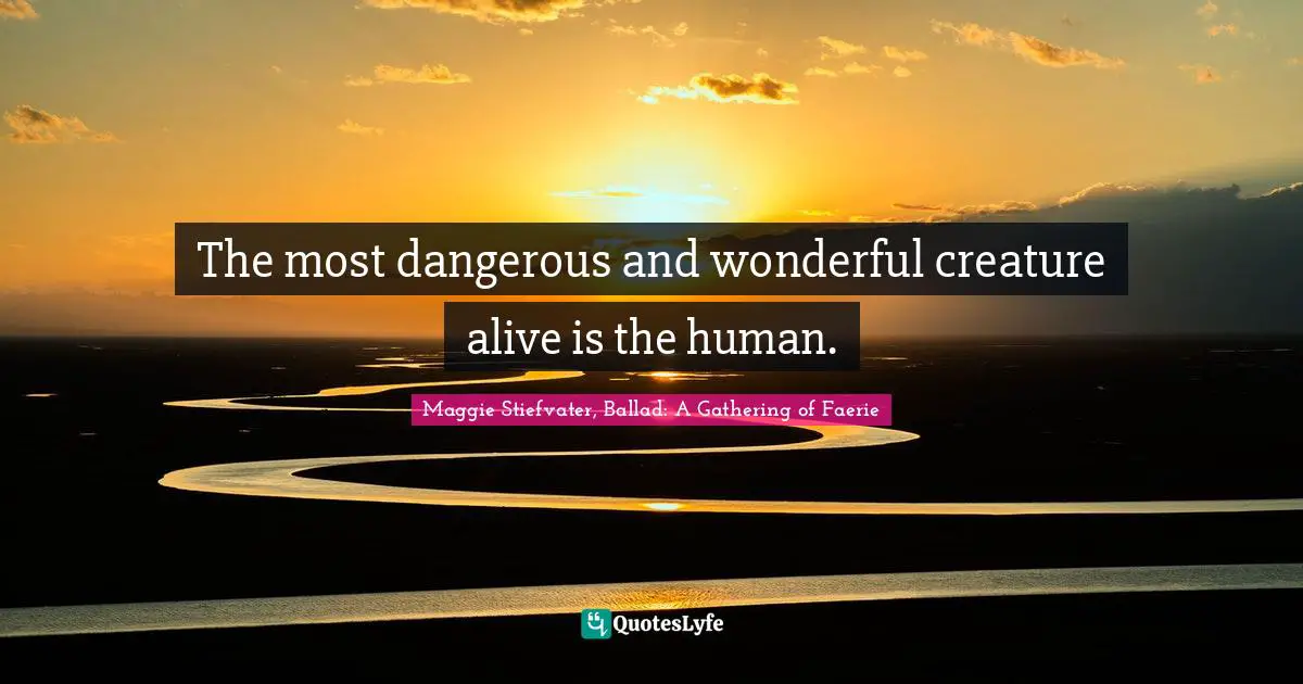 The most dangerous and wonderful creature alive is the human.