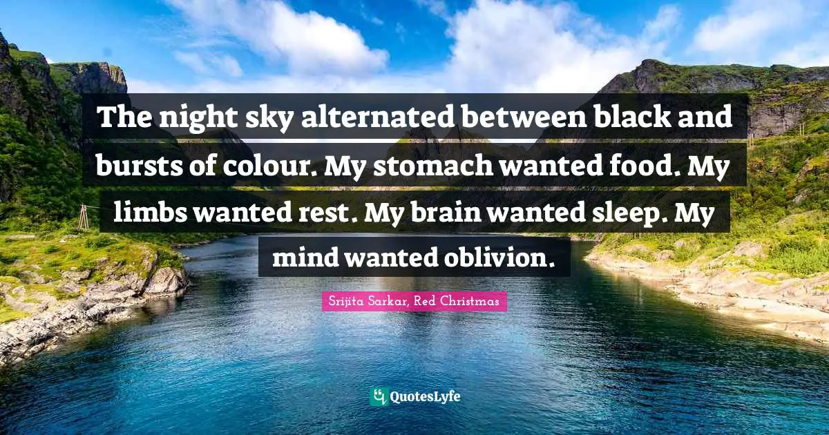 The night sky alternated between black and bursts of colour. My stomach wanted food. My limbs wanted rest. My brain wanted sleep. My mind wanted oblivion.