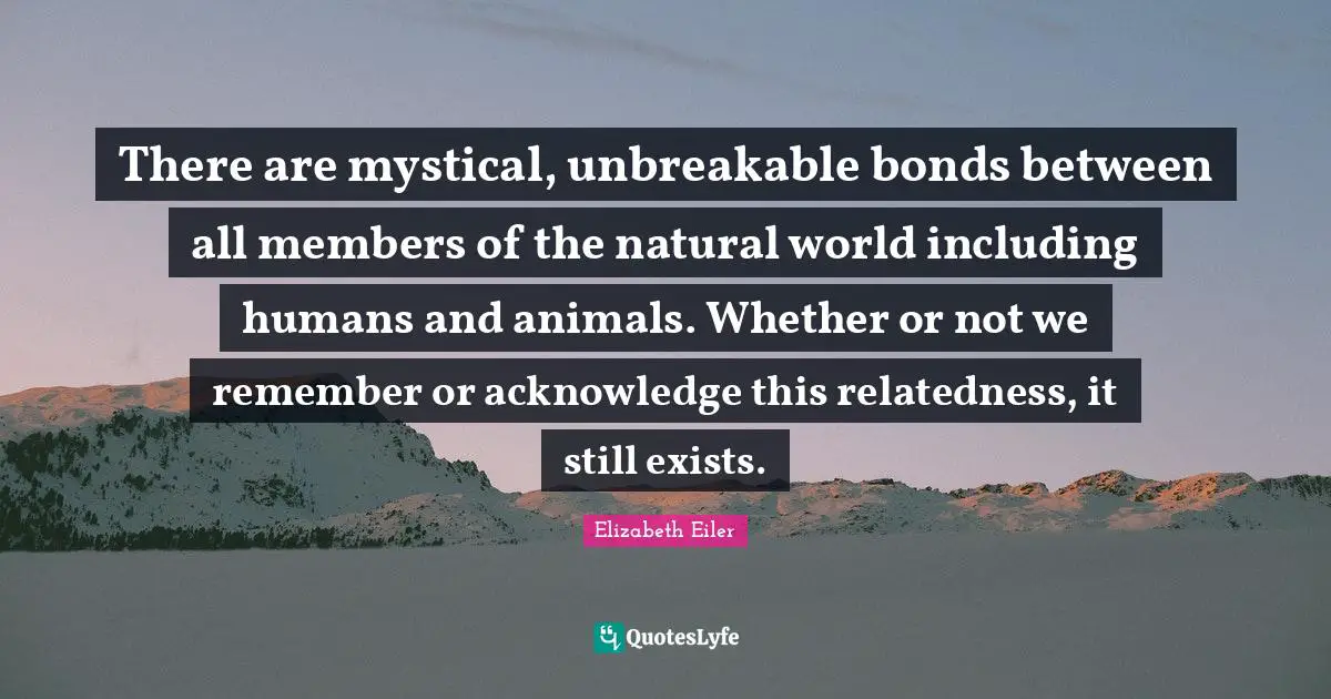 There are mystical, unbreakable bonds between all members of the natural world including humans and animals. Whether or not we remember or acknowledge this relatedness, it still exists.